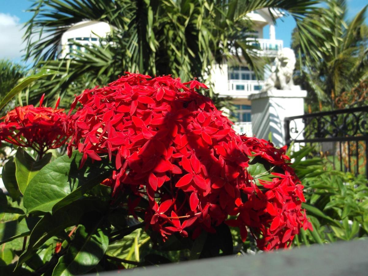 Luxor Residence Guesthouse Belle Mare Exterior foto